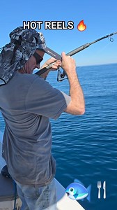 Just adding Tuskfish to the esky while fishing with Hot Reels charters in Hervey Bay. Yewwww!!! Let's go fishing!!! Hot Reels Pro Fish Charters | Hot Reels Pro Fish Charters