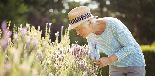 When a smell evokes a memory: new research offers clues about how the two are linked in the brain