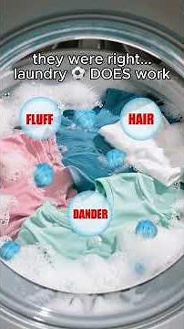 Best Pet Hair Remover Laundry Balls That Actually Work #shorts