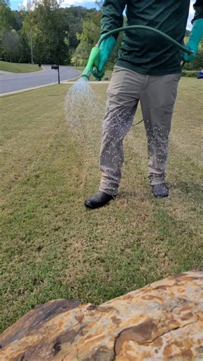 Mowing vs Spraying Lawns