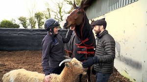 RIDING HIGH WITH IRISH JOCKEY RACHAEL BLACKMORE With Cheltenham kicking off tomorrow - we sent our own Keith Walsh to meet the very talented Rachel Blackmore, Monalee and his stable mate Harvey the Goat. Best of luck to Rachael at Cheltenham Festival.#rachaelblackmor #HenrydeBromhead | RTÉ Today