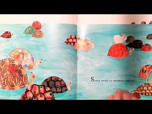 Snow rabbit spring rabbit