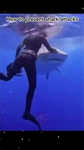 How to prevent shark attacks