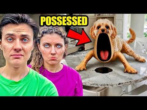 THIS IS NOT HER DOG… 😱 (IT GOT WORSE)