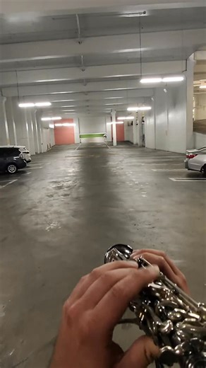 Nathanial on Instagram: "New reverb unlocked. This is definitely the in the top 3 #sax #saxophone #sopranosax"