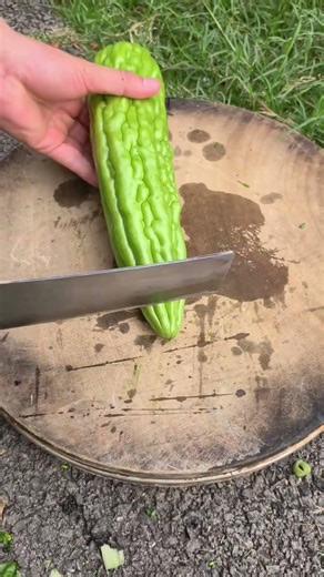 AY 11554 mini rotary tillage and ridging all-in one tree 🌲 short view