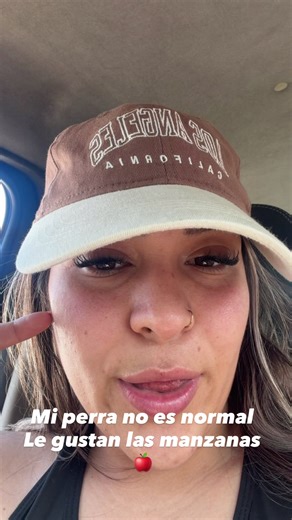 Cloe come manzana 🍎 🐶 #veracruz #foryoupage #popular #perro #therian