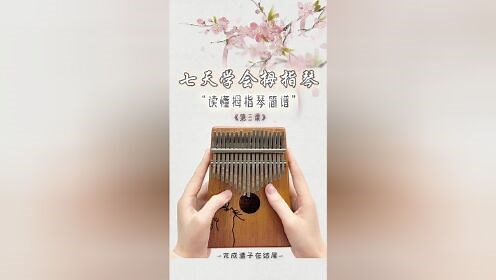 【拇指琴教学】新手看不懂拇指琴简谱？认识数字就能弹的卡林巴拇指琴真的很简单！