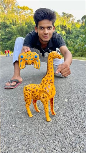 Rc Donkey Vs Remote Control Giraffe 🦒 Unboxing 🔥