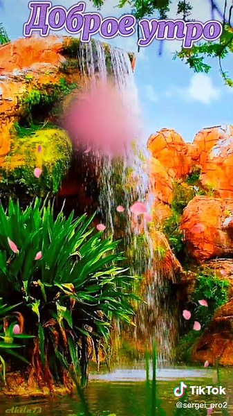 Animated Nature Scenes with Vibrant Colors and Birds