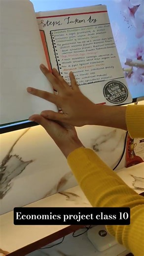 Economics project class, 10#class10 #economics #project