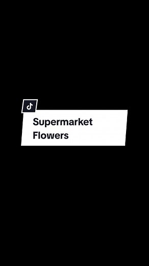 Supermarket Flowers Lyrics and Chords