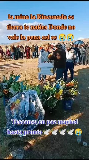 Videos de 𝐷𝐴𝑉𝐼𝐷 𝐴𝑁𝑇𝐻𝑂𝑁𝑌🎸🎼 (@david.anthony802) con “sonido original - 𝐷𝐴𝑉𝐼𝐷 𝐴𝑁𝑇𝐻𝑂𝑁𝑌🎸🎼”