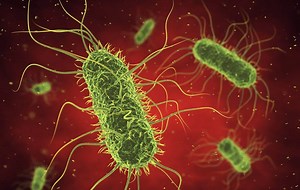 The 5 Deadliest Diseases for Women (That Aren't Heart Disease or Cancer)