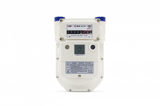 DSM SMART GAS METER - DAESUNG MEASURING