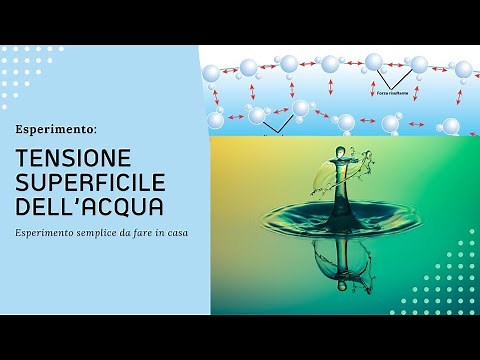 Esperimento: Tensione superficiale dell'acqua