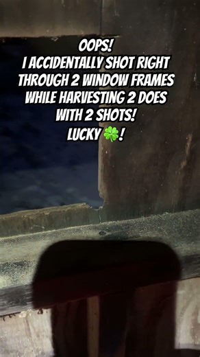 GOT LUCKY! SHOT 20 GAUGE SLUG THROUGH PLYWOOD WINDOW FRAME & STILL GOT THE DEER!