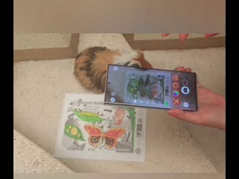 Uso de Realidad Aumentada para las clases de Etimologías y Lengua Española