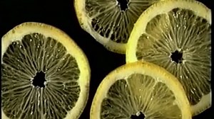 Baby Mozart 1998 Hebrew VHS