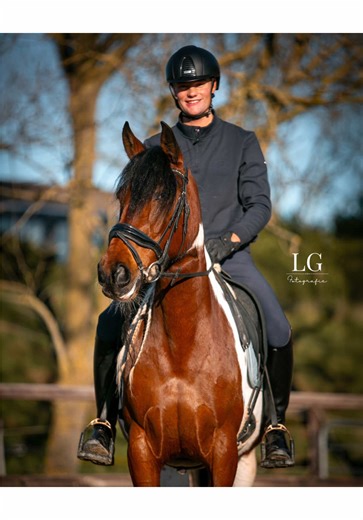 A Day at the Dutch Masters: Equestrian Excitement