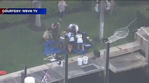 292K views · 316 reactions | MANATEE TANGLED IN LIFE VEST: Rescuers...