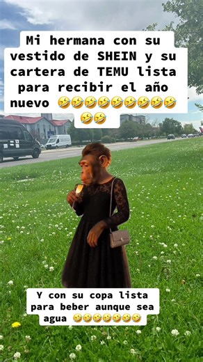 Shein and Temu Memes: A Funny Sister's New Year Outfit