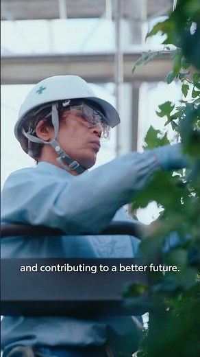 BEYOND ZERO | Welcome to Toyota’s Farm Lab (Toyota Production System) | Toyota
