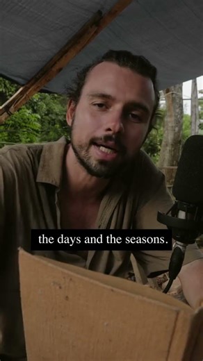 Happy Fake New Year | The Lunar Calendar We Forgot