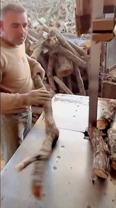 Firewood Process 1