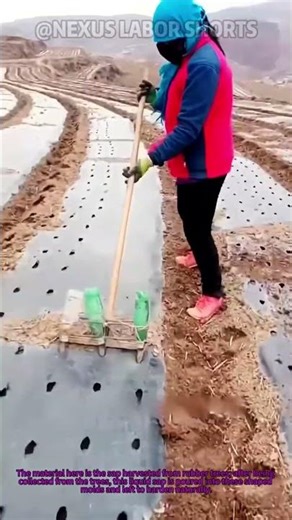Genius DIY Seed Planter (Made From Plastic Bottles) Works Perfectly on Farmland #Shorts