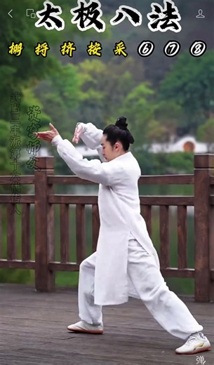 Tai Chi: Eight Techniques & Five Steps