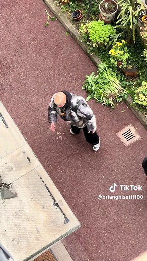 Hilarious Italian Moments with Brian