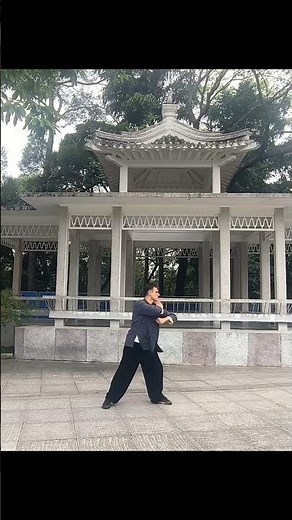 Testing Bruce Lee's Block Punch Technique with Shifu Moxiaolong.