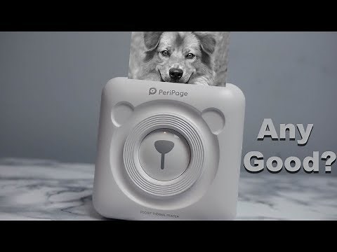 Mini Inkless Thermal Printer - PeriPage ANY GOOD!?