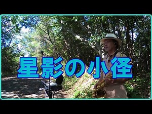 テナーサックスで唄う「星影の小径」 #懐かしいメロディ #昭和歌謡 #小畑実
