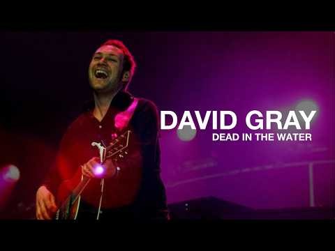 DAVID GRAY - Dead in the Water (Live at Glastonbury Festival, 2003)