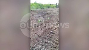 3.7K views · 14 reactions | ABACO FARMER LAMENTS THEFT INCIDENT An Abaconian who is currently stuck in Canada says her farm back home was hit by thieves. Jared Higgs tells us more. | Our News Bahamas | Facebook