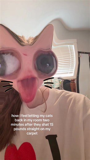 daily occurrence #cat#funny#poop#cute