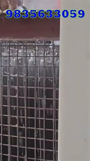 फैक्ट्री में सीलिंग पंखा बनते देखिए, S3540 9835633059