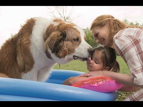 『僕のワンダフル・ジャーニー』予告第一弾