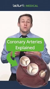 1.8K views · 15 reactions | 變Coronary arteries explained 邏  Keep learning about #Anatomy on Lecturio  Click the link in our bio to start your FREE trial today 朗 #Anatomy #CardiacVeins #Cardiology #Heart #Lecturio #LecturioMedical #StudySmart #MedStudent #MedSchool #FutureDoctors | Lecturio Medical | Facebook