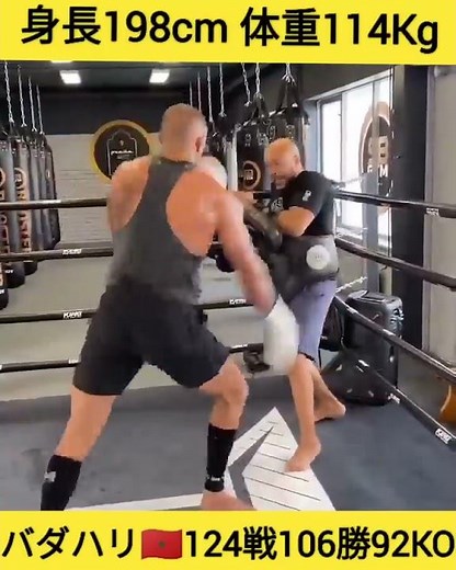 【106勝92KO】ヘビー級なのに速すぎるバダハリ🇲🇦198cm 114Kg