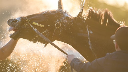 How to watch Kentucky Oaks post-position draw 2026 at Churchill Downs