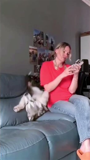 Try Not To Laugh — Dog Fails Compilation! 😂 #shorts