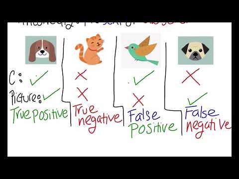 Binary Classification Example