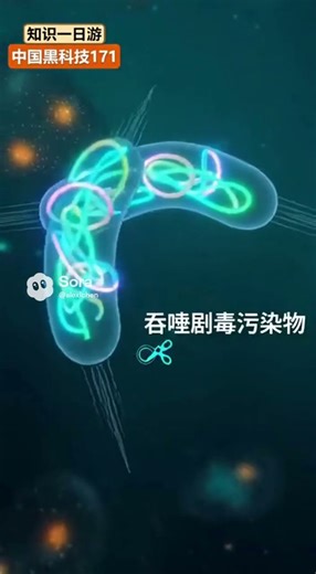 【中国黑科技-171 吃毒细菌】该技术利用CRISPR基因剪刀打造的合成生物黑科技，通过定制化设计工程菌，使其高效降解多种剧毒污染物，在工业污水治理领域实现全球领先。#科技#AI#黑科技 #吃毒细菌
