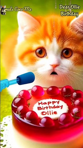 DEAR OLLIE BIRTHDAY | HAPPY BIRTHDAY SONG WITH NAMES | Adorable Cute Cat 😺 #cat #happybirthday #cute