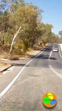 Drive Through East Albury NSW Australia 🇦🇺 | Dashcam View via East Street & Borella Road