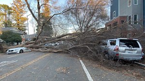 Fallen trees damage homes, block streets across Sacramento following storm