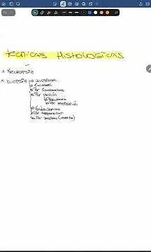 preparemos el final de histología #estudiante #diadelestudiante #medicina #clases #medicinaunlp